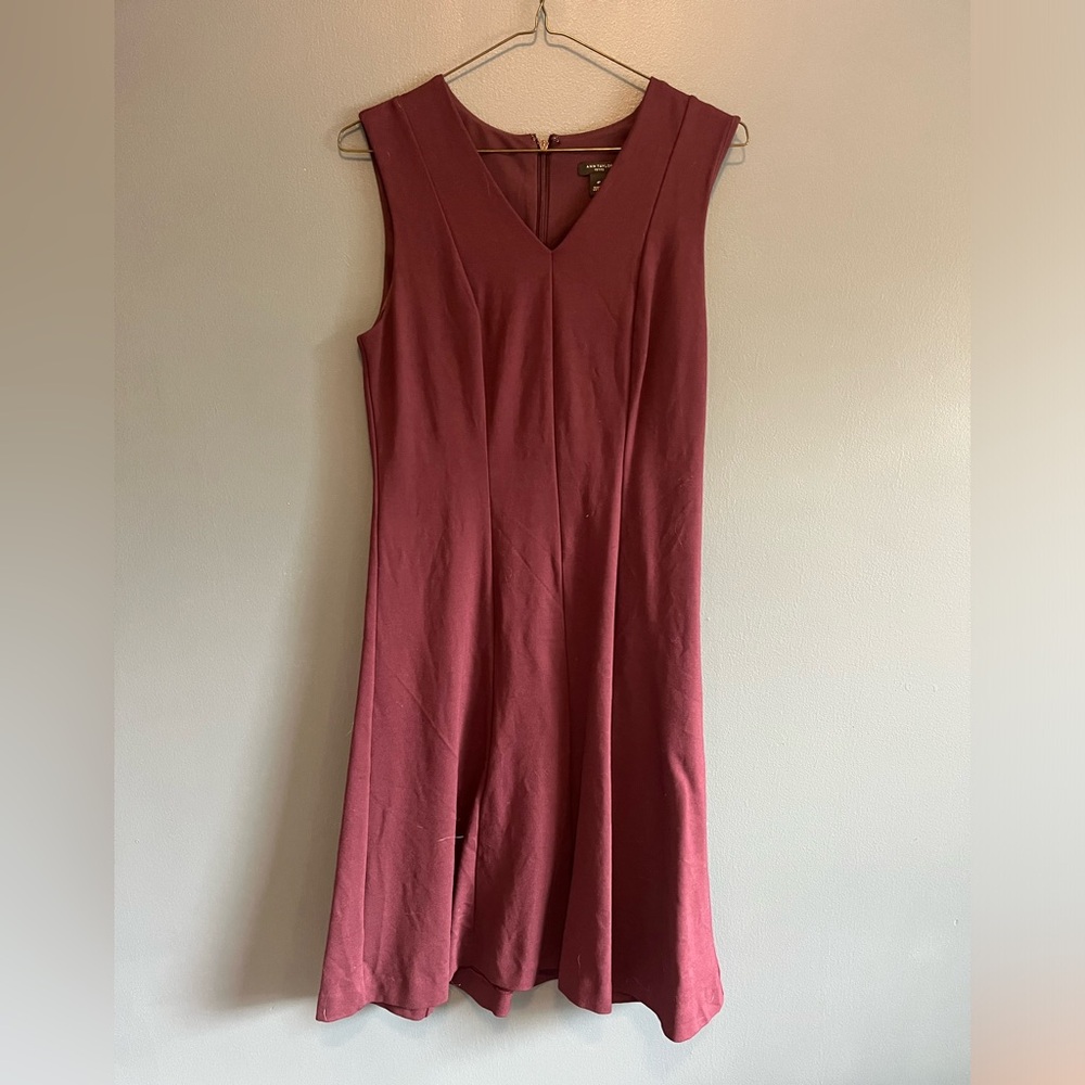 Ann Taylor Petit Dress